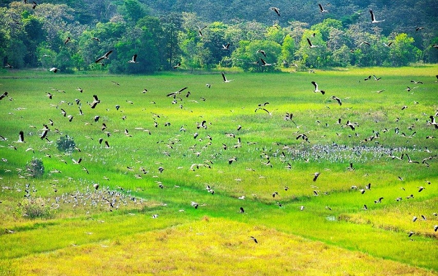 Tay Ninh: Lo Go-Xa Mat National Park preserves biodiversity in tourism development. (Photo: sggp.org.vn)