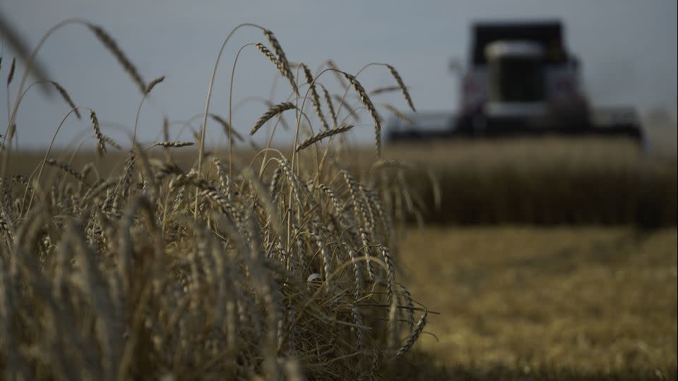 Ukraine có tin vui với hành lang xuất khẩu mới; Đức 'làm mọi cách' để Kiev đưa ngũ cốc qua Biển Đen