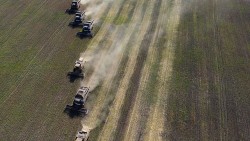 Nông dân Romania đề xuất liên quan đến nông sản Ukraine, ngũ cốc Kiev lại bị 'gọi tên'
