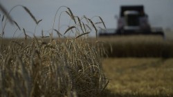 Ukraine có tin vui với hành lang xuất khẩu mới; Đức 'làm mọi cách' để Kiev đưa ngũ cốc qua Biển Đen