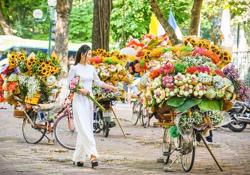 Thiếu nữ Hà Nội bên những xe hoa trên đường Phan Đình Phùng. (Nguồn: TTXVN)