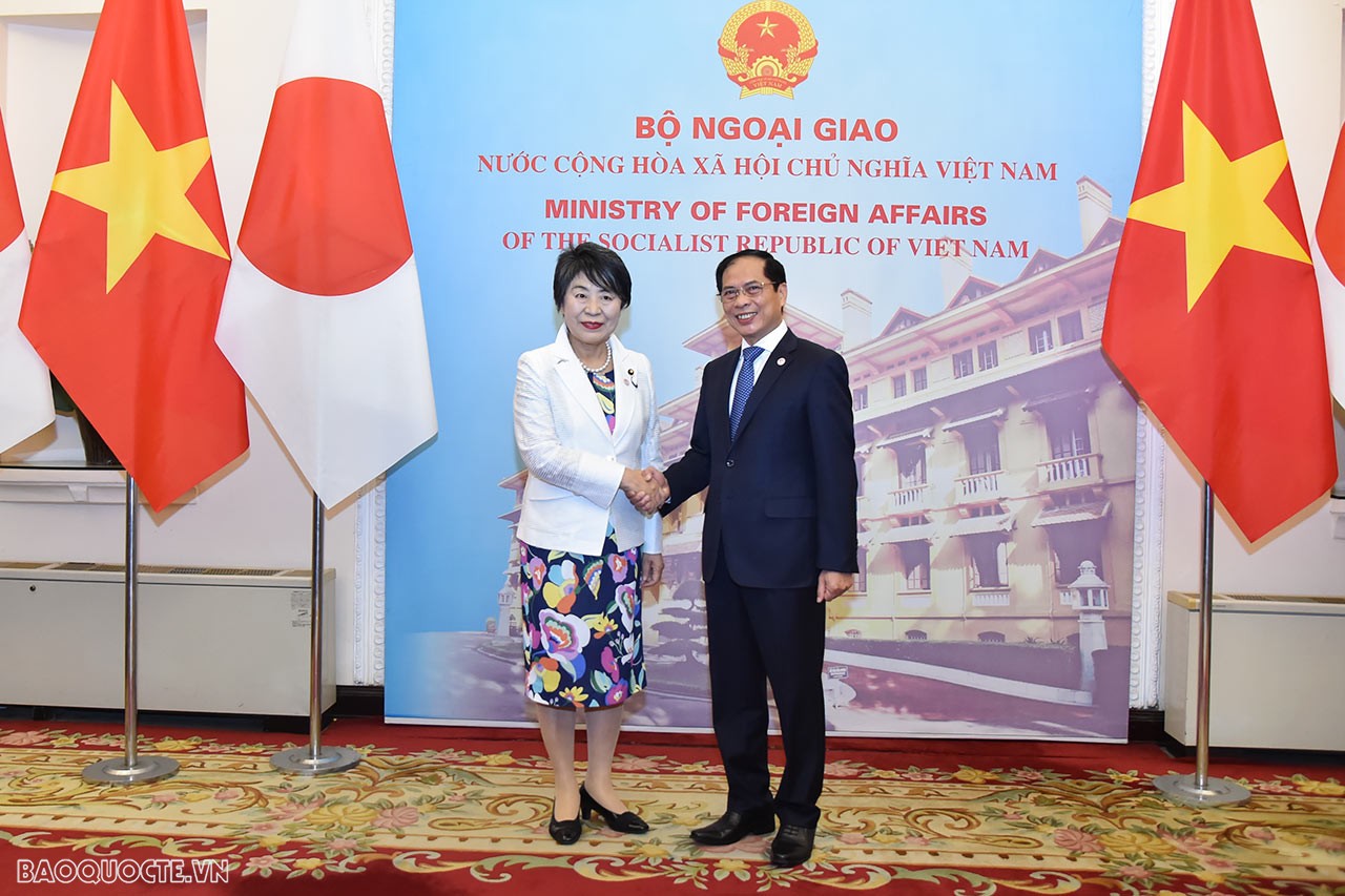 Vietnamese, Japanese Foreign Ministers hold talks in Hanoi