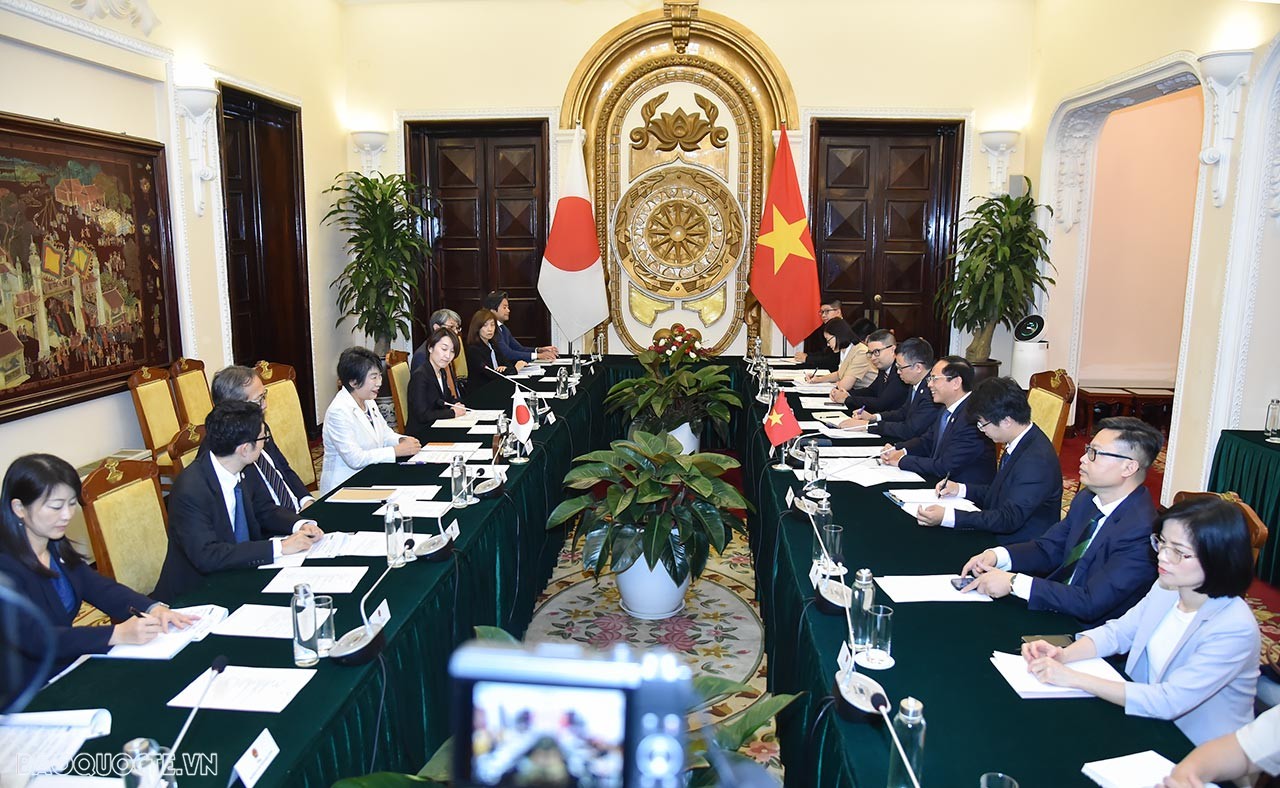 Vietnamese, Japanese Foreign Ministers hold talks in Hanoi