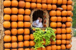 Mỹ: Ngôi làng độc đáo có những căn nhà được làm từ nhiều quả bí ngô
