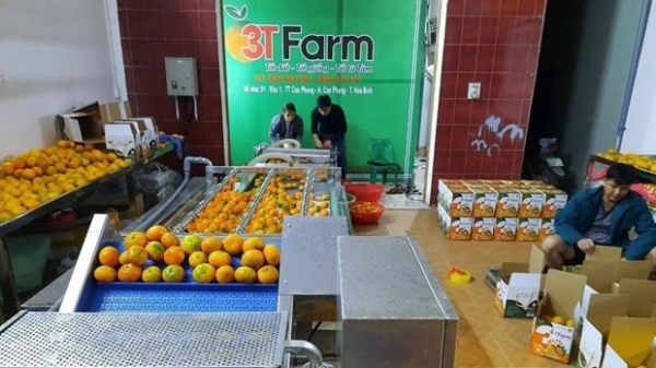 Promoting digital transformation in agriculture