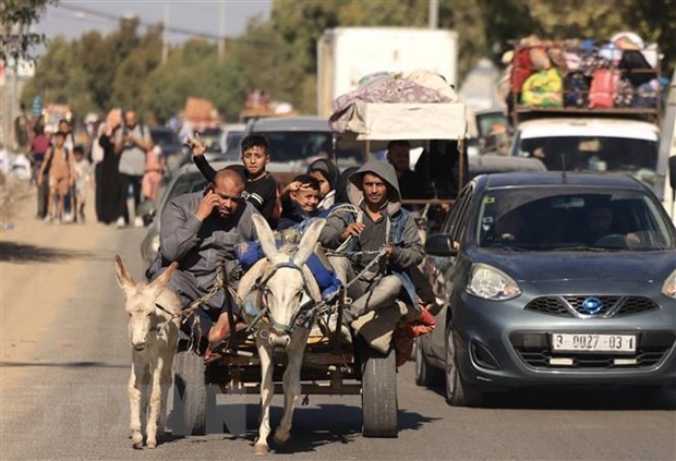 Xung đột Hamas-Israel: WHO phản đối yêu cầu sơ tán của Israel tại Dải Gaza