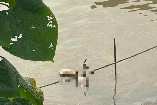 Hà Nội: Bắt giữ nghi phạm phi tang thi thể cô gái ở sông Hồng