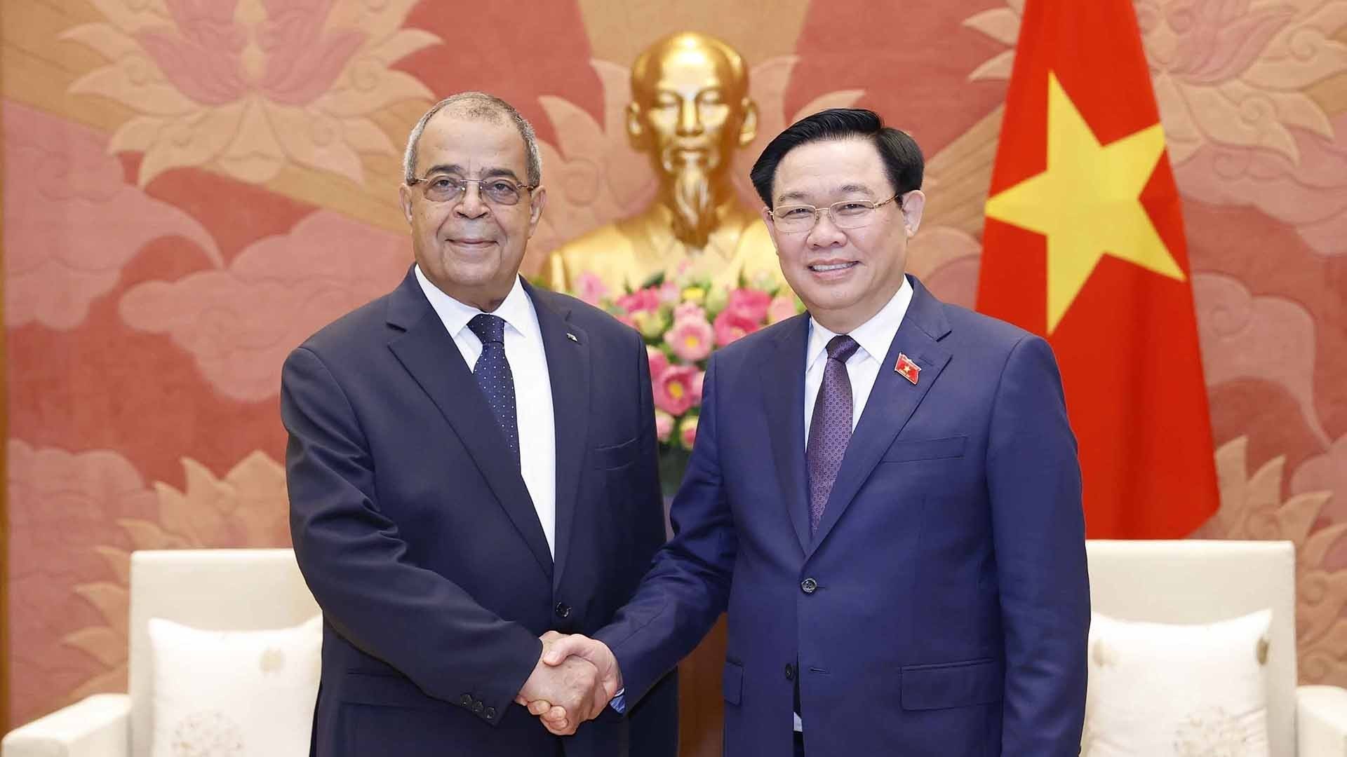 Việt Nam-Algeria: Đẩy mạnh quan hệ hợp tác kinh tế, thương mại và đầu tư