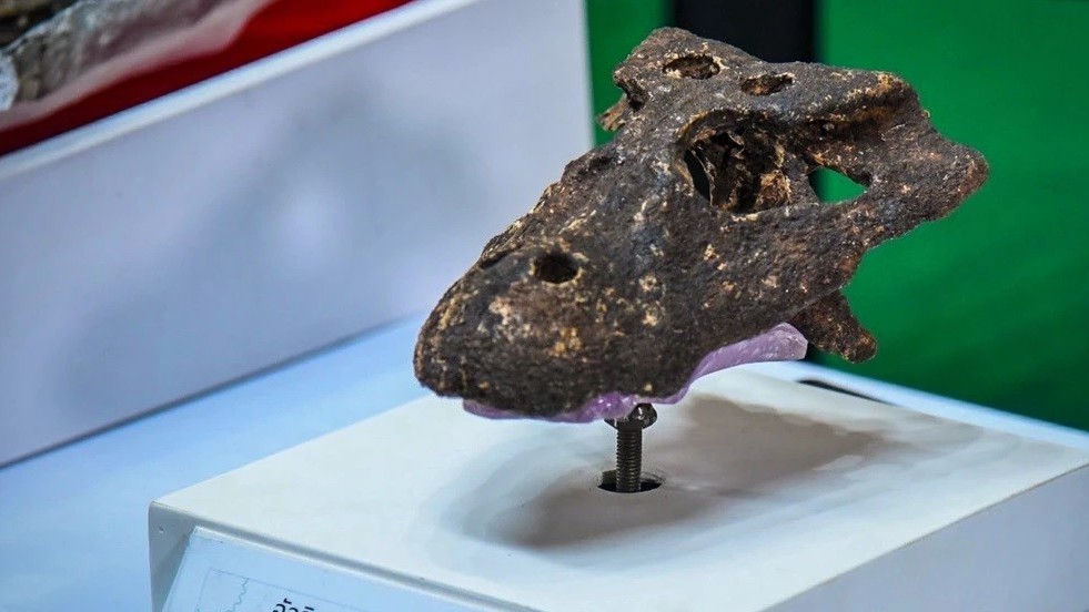 Thái Lan thông tin về hóa thạch của loài cá sấu cổ đại chưa từng được ghi nhận trên thế giới