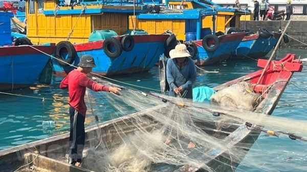 EC delegation recognises Vietnam’s anti-IUU fishing efforts: Deputy Minister