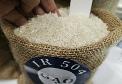 Indonesia lại tăng mua, gạo Việt Nam có thể lập đỉnh mới?