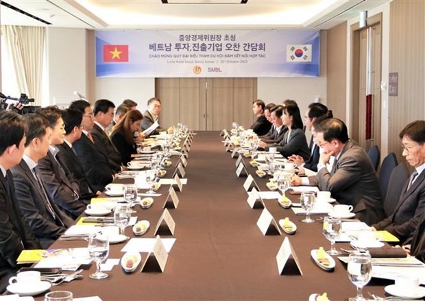 Long An, RoK enterprises seek cooperation opportunities | Business | Vietnam+ (VietnamPlus)