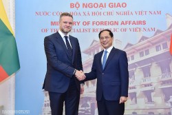 Bộ trưởng Ngoại giao Việt Nam-Lithuania trao đổi biện pháp đẩy mạnh hợp tác hai nước