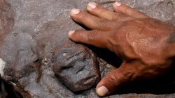 Nước sông Amazon giảm ở mức thấp chưa từng thấy, phát lộ các tác phẩm chạm khắc cổ trên đá