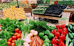 Giới thiệu nông sản hữu cơ chuẩn châu Âu đến người tiêu dùng Việt Nam