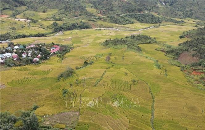 Mang Ri rice valley in autumn - 'sleeping beauty' in Central Highlands