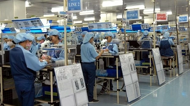 Vast potential for Vietnamese goods in Trans-Pacific Partnership markets