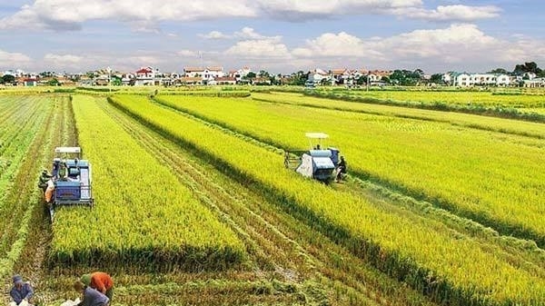 Mekong Delta rolls out red carpet for investment in agriculture