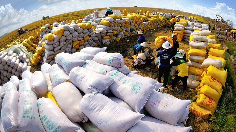 Xuất khẩu ngày 27/10-3/11: Giá gạo 'tăng nóng' nhưng không phải lợi thế; một quốc gia Nam Á đổ tiền, tăng mua gỗ từ Việt Nam