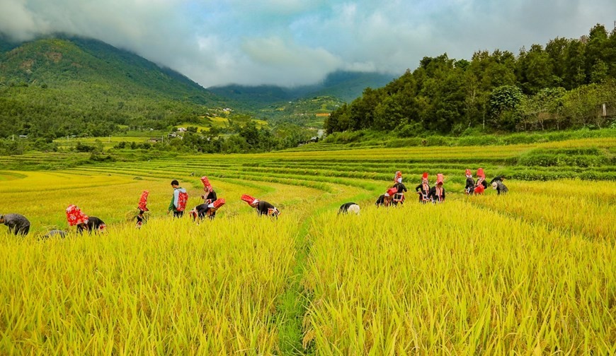 Binh Lieu landscapes and cultural values win tourists’ hearts Binh Lieu to win people's hearts with landscapes and cultural values