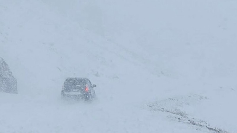 Bão tuyết hoành hành, Mông Cổ khuyến cáo người tham gia giao thông và chăn nuôi gia súc tránh nguy cơ thảm họa