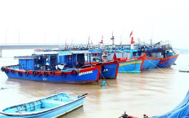 Quang Binh intensifies measures against IUU fishing: Standing Vice Chairman