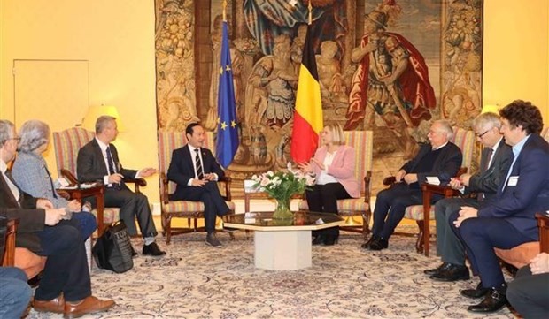 Vietnam, Belgium bolster collaboration to support AO victims: Ambassador