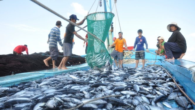 Vietnam's marine economic potential