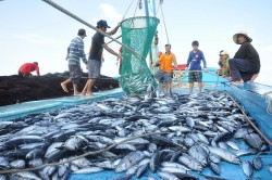 Tiềm năng kinh tế biển Việt Nam