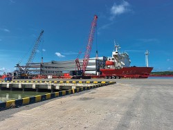 Cảng Tân Cảng - Cái Mép: Tiềm năng phát triển Trung tâm logistics hậu cảng khu vực Cái Mép