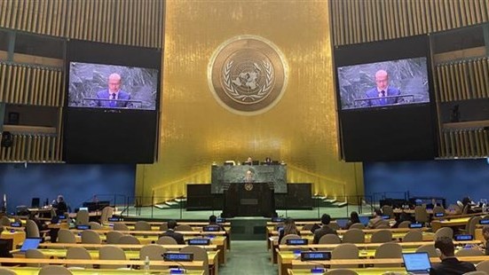 Vietnam supports reform of UN Security Council: Diplomat