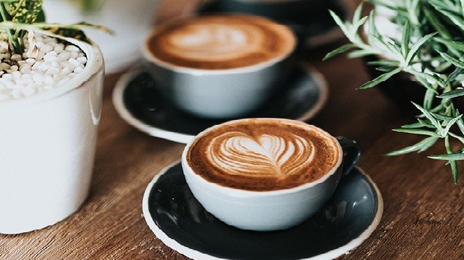 Giá cà phê hôm nay 26/1/2024: Giá cà phê trong nước tiếp tục tăng kỷ lục, khai thác thị trường tiêu thụ lớn nhất thế giới thế nào?