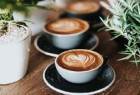 Giá cà phê hôm nay 28/11/2023: Giá cà phê điều chỉnh nhẹ phiên đầu tuần, tiềm năng mở rộng thị phần tại châu Phi của hàng Việt