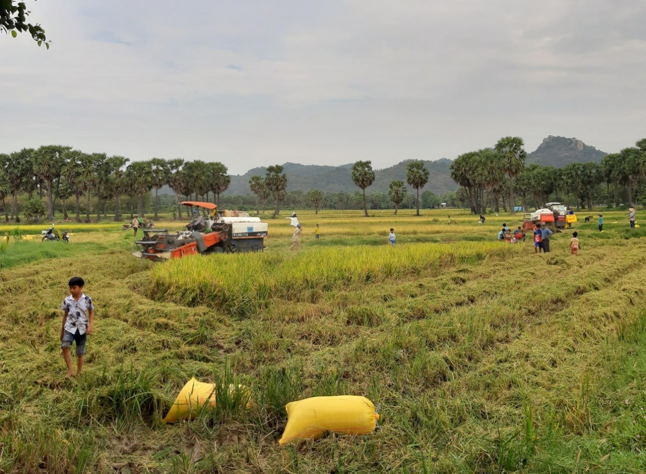 Ethnic policies change lives of ethnic minorities in An Giang province