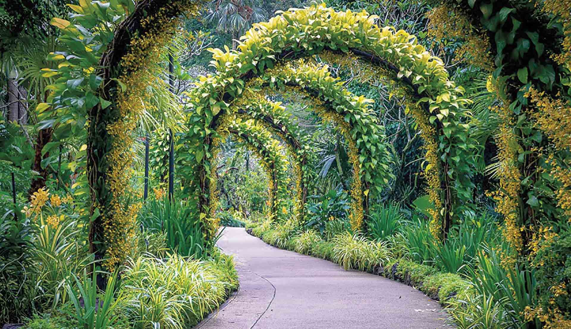 MacRitchie Reservoir là điểm đến nổi tiếng với người yêu thiên nhiên tại Singapore.