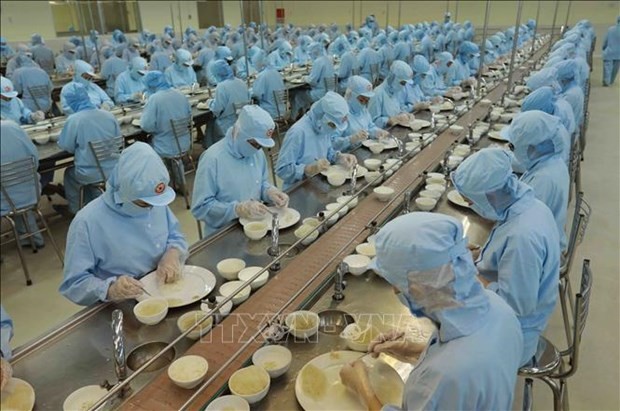 Vietnamese enterprises increase investment to seize bird’s nest export opportunities | Business | Vietnam+ (VietnamPlus)