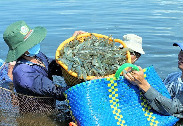 Festival tôm Cà Mau lần thứ II năm 2026
