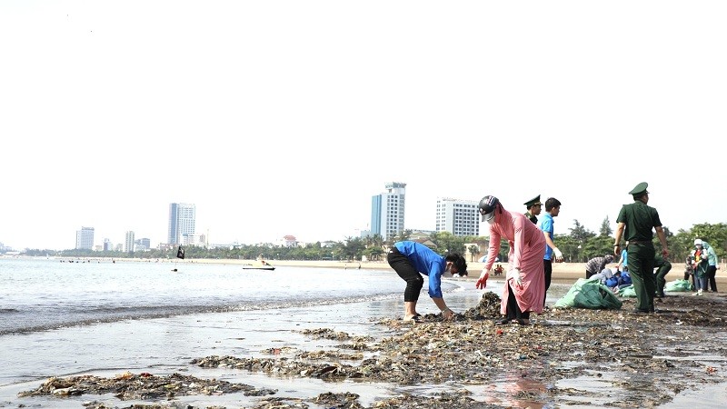 Garbage collection at Cua Lo beach (Nghe An). (Source: nhandan)