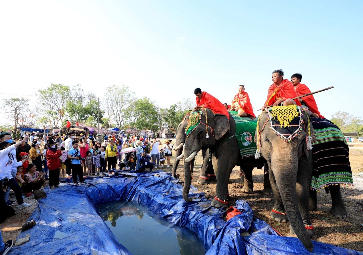 Tourists are excited for the 2023 Buon Don Elephant Festival. (Photo: VNA)