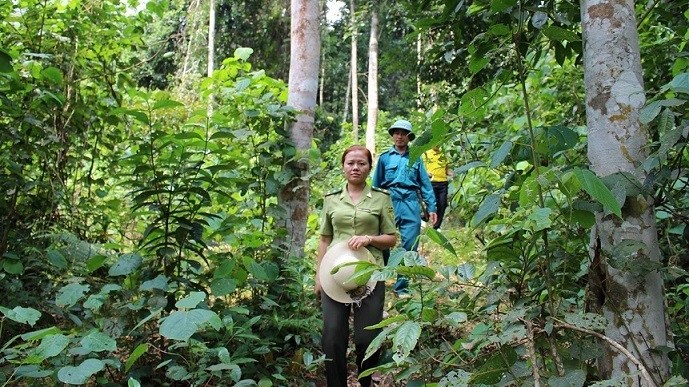 Chi cục Kiểm lâm Sơn La: Đẩy mạnh công tác bảo vệ rừng và phòng cháy chữa cháy