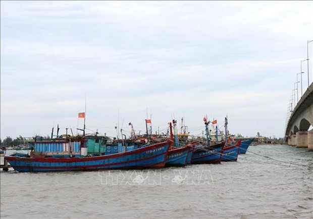 Binh Thuan determined to crack down on illegal fishing vessels