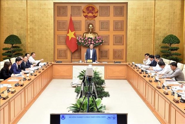 Draft plan on fishing port, storm shelter system under discussion | Business | Vietnam+ (VietnamPlus)