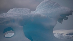 Tảng băng trôi lớn nhất thế giới dịch chuyển lần đầu tiên sau 30 năm, chưa có đánh giá mức độ ảnh hưởng
