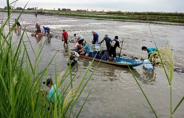 Vietnam’s agriculture sector has identified the need to respond promptly and enhance growth quality by applying ecological, organic, circular farming methods that results in low carbon emissions (Illustrative photo - Source: VNA)