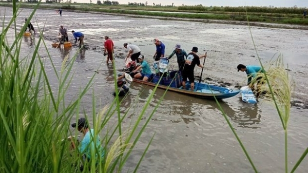 Vietnam agriculture responds to climate change with green development