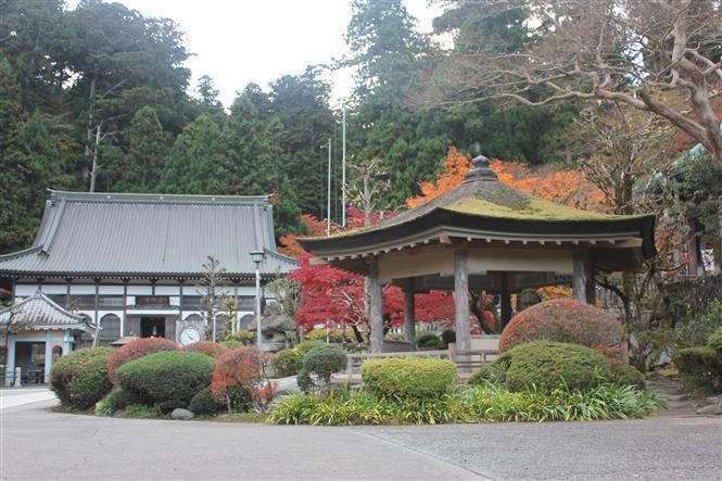 Mùa Thu kỳ bí ở ngôi chùa Nhật Bản hơn 600 tuổi