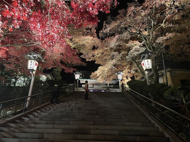 Mùa Thu kỳ bí ở ngôi chùa Nhật Bản hơn 600 tuổi