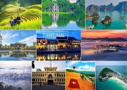 Sức hút Việt Nam trong mắt khách du lịch Nhật Bản