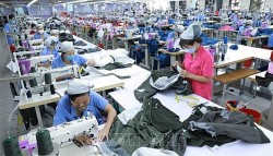 Ensuring employment, social welfare creates motivation for economic development: Deputy Minister