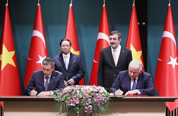 Vietnamese, Turkish national flag carriers cooperate on goods transport